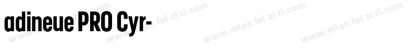 adineue PRO Cyr字体转换